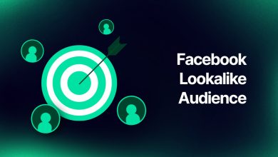 Facebook Lookalike Audience