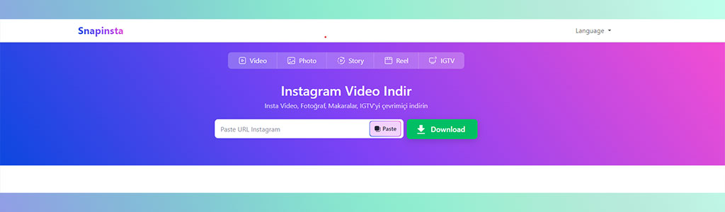 Snapinsta Instagram Video Downloader
